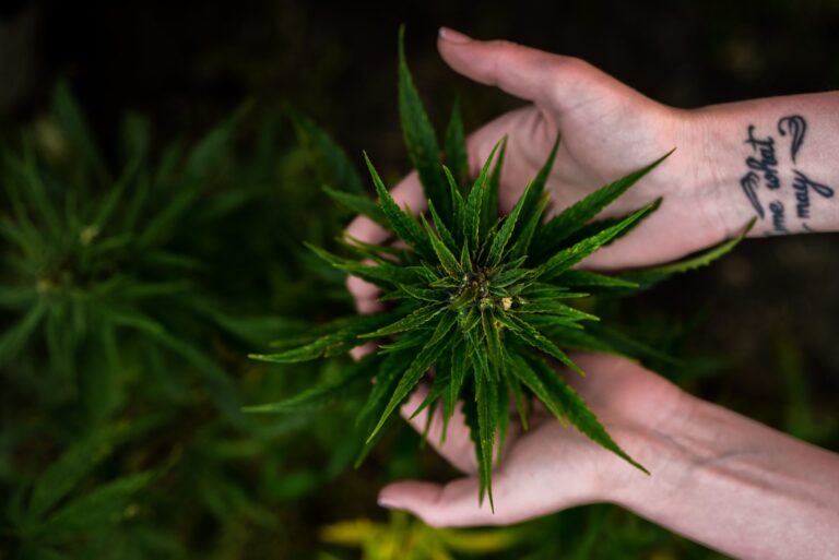 Does Anxiety Qualify For Medical Marijuana In Florida News Reporter