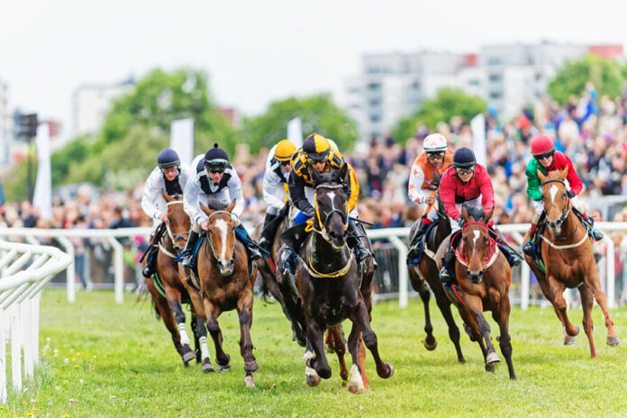 Growth Factors in the Global Horse Racing Market